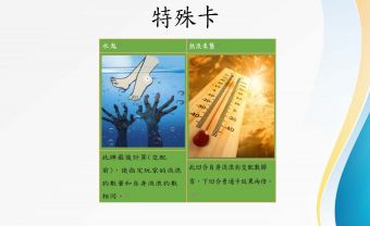 流浪狗的命運