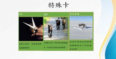 流浪狗的命運