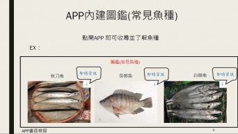 前鎮漁港之當地魚價及魚種查詢APP