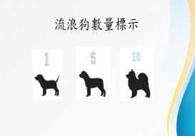 流浪狗的命運