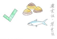 海洋生態繪本-海洋生態永續543