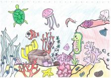 海洋生態繪本-珊瑚