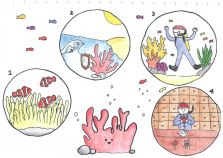 海洋生態繪本-珊瑚