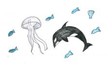 海洋生態繪本-海洋生態永續543