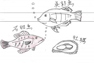 海洋生態繪本-生態永續