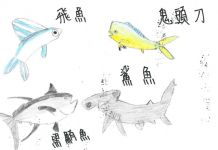 海洋生態繪本-生物多樣性