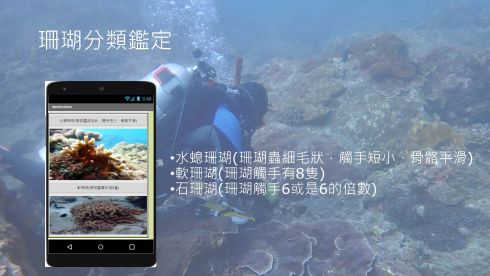 台灣常見珊瑚物種檢索APP