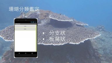 台灣常見珊瑚物種檢索APP