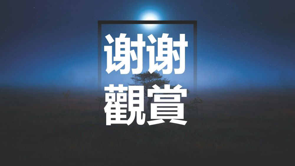 石虎保衛大作戰