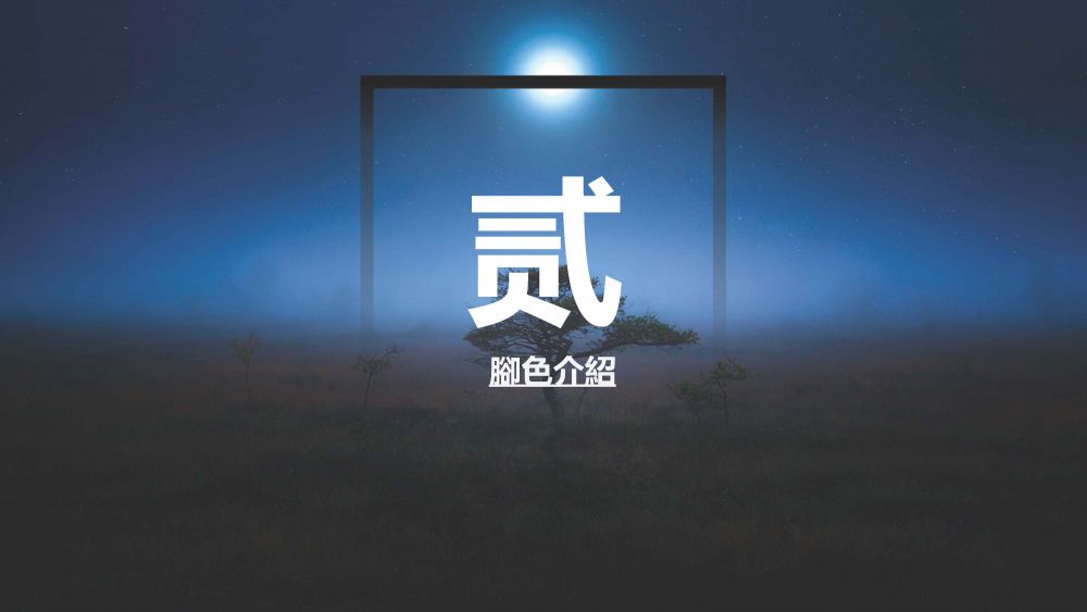 石虎保衛大作戰