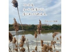 永安印象--三行詩圖文創作集