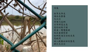永安印象--三行詩圖文創作集