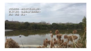 永安印象--三行詩圖文創作集